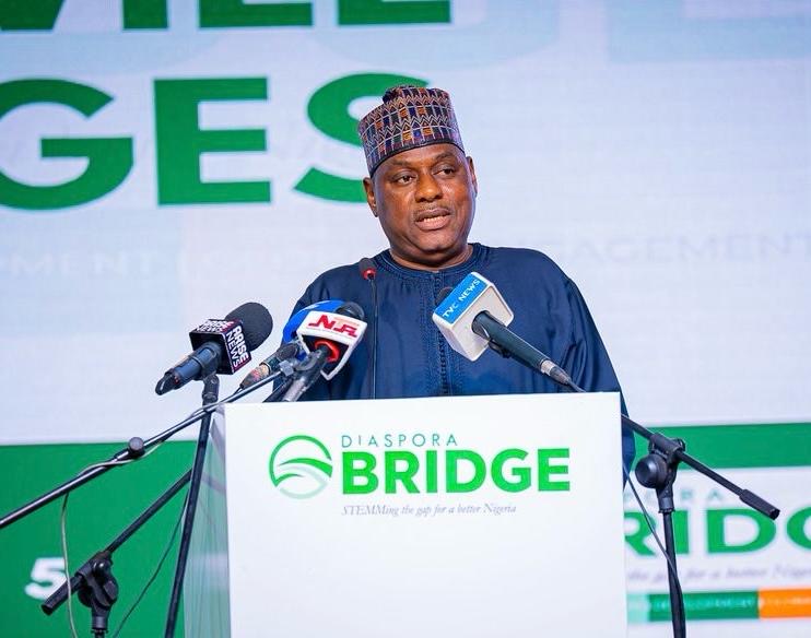 FG LAUNCHES DIASPORA BRIDGE PLATFORM