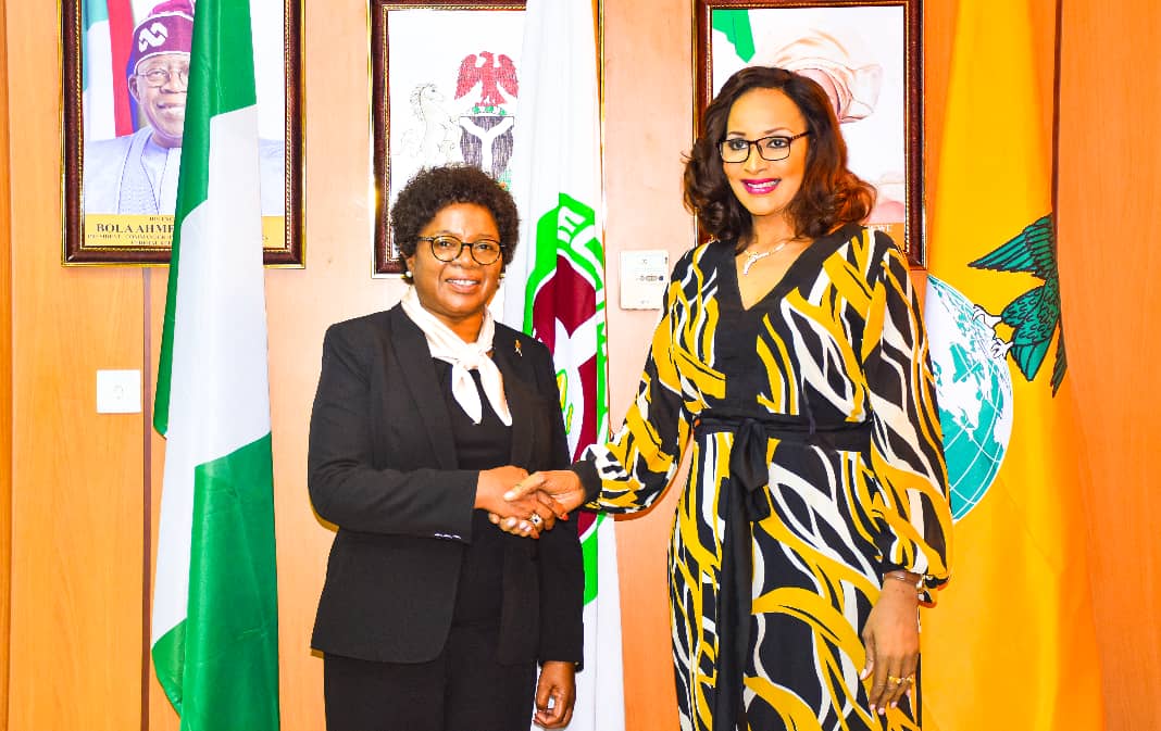 MINISTER OF STATE FOR FOREIGN AFFAIRS BIANCA OJUKWU URGES NIGERIANS IN DIASPORA TO INVEST IN NIGERIA’s HEALTH SECTOR