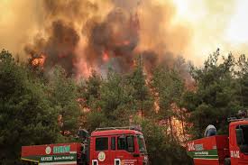 11 TURKISH FOREST WORKERS DIE FIGHTING WILDFIRE