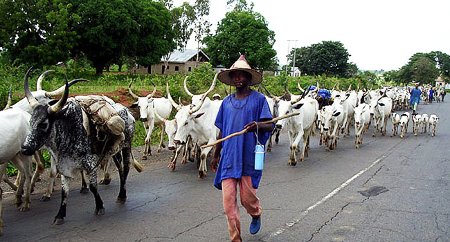 NIGERIAN DEFENCE CHIEF PROPOSES RANCHING TO RESOLVE FARMER-HERDER CONFLICTS