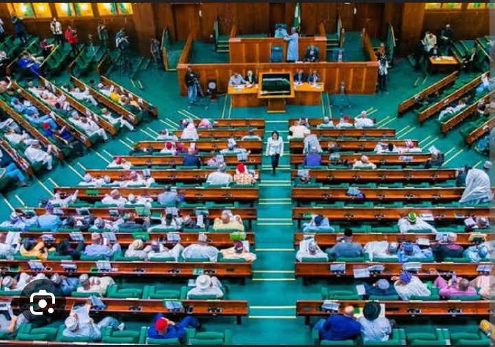 HOUSE OF REPS VOWS TO RECOVER $9BN LOST TO ILLEGAL MINING, BACKS REVIVAL OF AJAOKUTA STEEL COMPANY